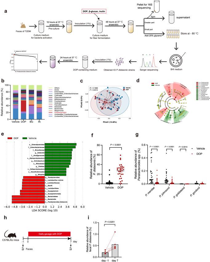 https://cdn.ncbi.nlm.nih.gov/pmc/blobs/3a9f/10676405/f45902e1dd7a/41467_2023_43622_Fig2_HTML.jpg