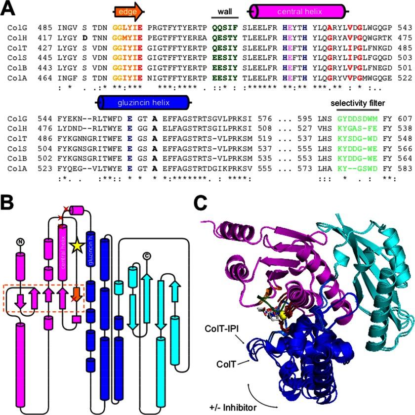 https://cdn.ncbi.nlm.nih.gov/pmc/blobs/3a9f/3711286/2829ade8d11d/zbc0311354970002.jpg