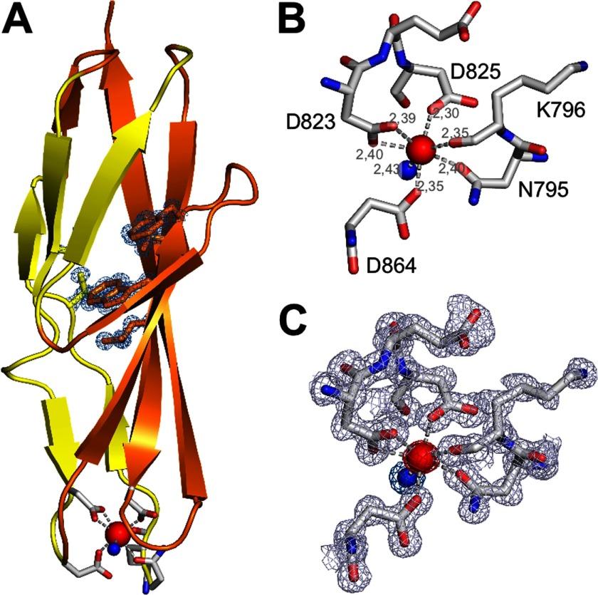 https://cdn.ncbi.nlm.nih.gov/pmc/blobs/3a9f/3711286/bd84b6be6f5b/zbc0311354970005.jpg
