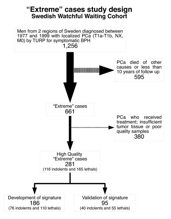 https://cdn.ncbi.nlm.nih.gov/pmc/blobs/3aa0/2855514/86bf87db1371/1755-8794-3-8-1.jpg