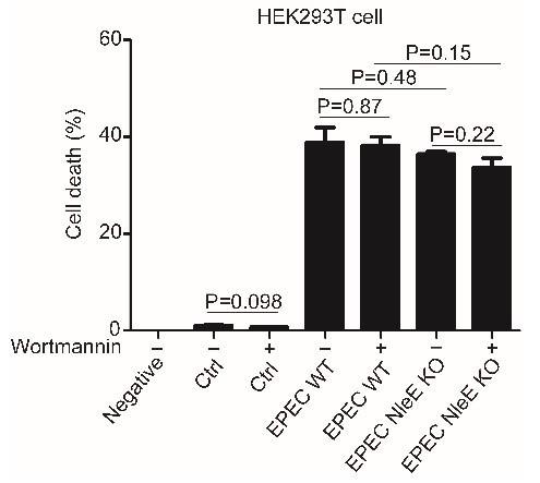 https://cdn.ncbi.nlm.nih.gov/pmc/blobs/3aa1/8324295/8a242bd0d502/elife-69047-resp-fig1.jpg