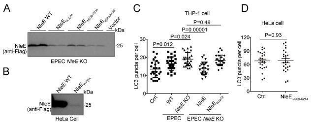 https://cdn.ncbi.nlm.nih.gov/pmc/blobs/3aa1/8324295/f96ca946d3e2/elife-69047-resp-fig3.jpg