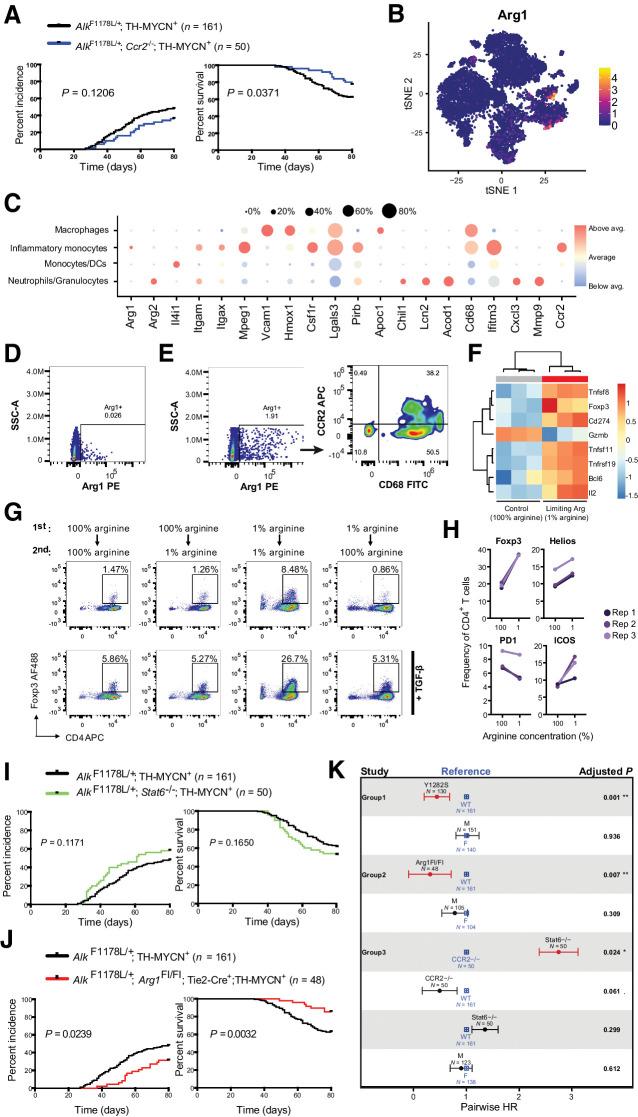 https://cdn.ncbi.nlm.nih.gov/pmc/blobs/3aa2/8974427/a141d7674e5d/canres-81-5047-g006.jpg