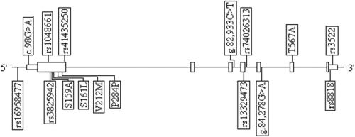 https://cdn.ncbi.nlm.nih.gov/pmc/blobs/3aa3/2861124/a3f770abd286/mv-v16-705-f1.jpg