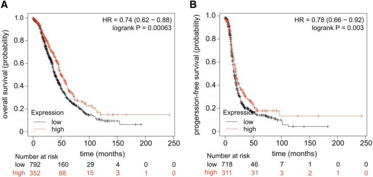 https://cdn.ncbi.nlm.nih.gov/pmc/blobs/3aa6/10502412/6eef2229cf5d/gr3.jpg