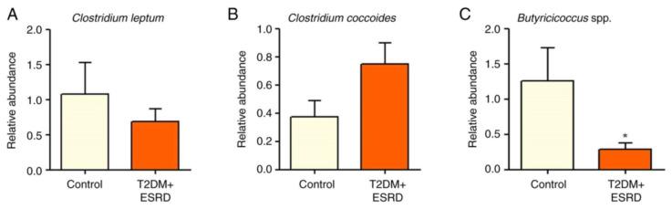 https://cdn.ncbi.nlm.nih.gov/pmc/blobs/3aa7/12027714/3e23d7a91b77/jcm-14-02556-g002.jpg