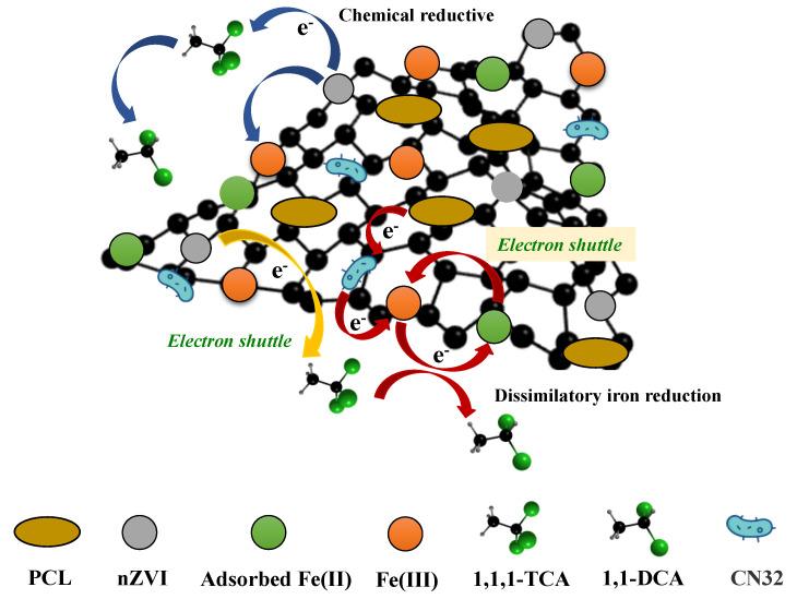 https://cdn.ncbi.nlm.nih.gov/pmc/blobs/3aa8/10095663/edaef78a2cf9/molecules-28-03145-g009.jpg