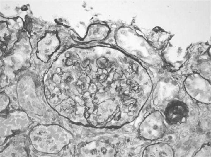https://cdn.ncbi.nlm.nih.gov/pmc/blobs/3aae/4377755/8362f77228f3/sfu03504.jpg