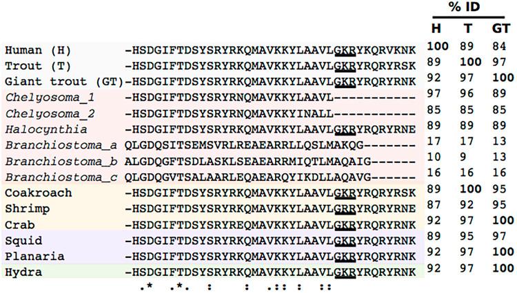 https://cdn.ncbi.nlm.nih.gov/pmc/blobs/3aae/7251081/71ea37bd7dcc/fnins-14-00366-g002.jpg