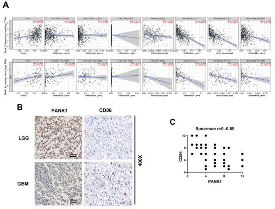 https://cdn.ncbi.nlm.nih.gov/pmc/blobs/3ab0/11092558/7c411f868f92/CCHTS-27-715_F6.jpg