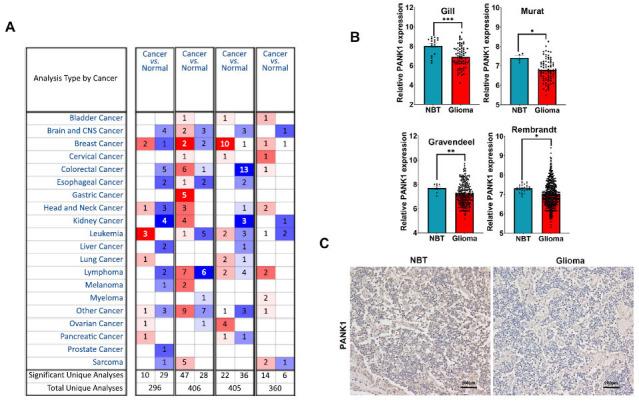 https://cdn.ncbi.nlm.nih.gov/pmc/blobs/3ab0/11092558/c27590179406/CCHTS-27-715_F1.jpg