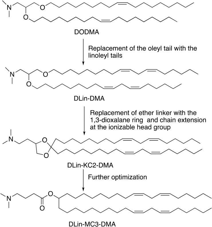 https://cdn.ncbi.nlm.nih.gov/pmc/blobs/3ab1/7837307/022d0c46a48e/gr7_lrg.jpg