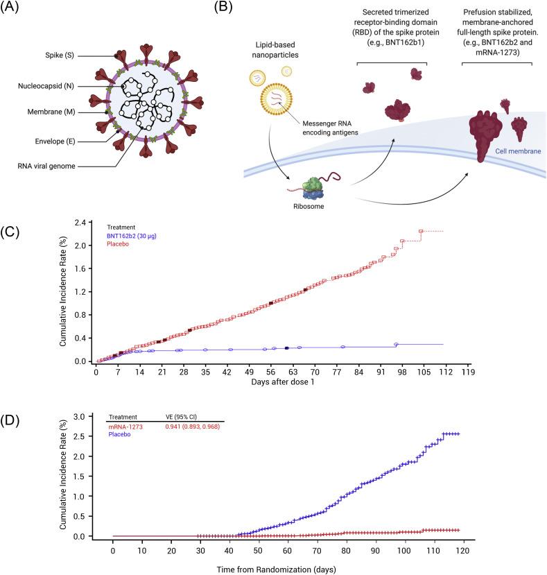 https://cdn.ncbi.nlm.nih.gov/pmc/blobs/3ab1/7837307/0458fdf84b3d/gr9_lrg.jpg