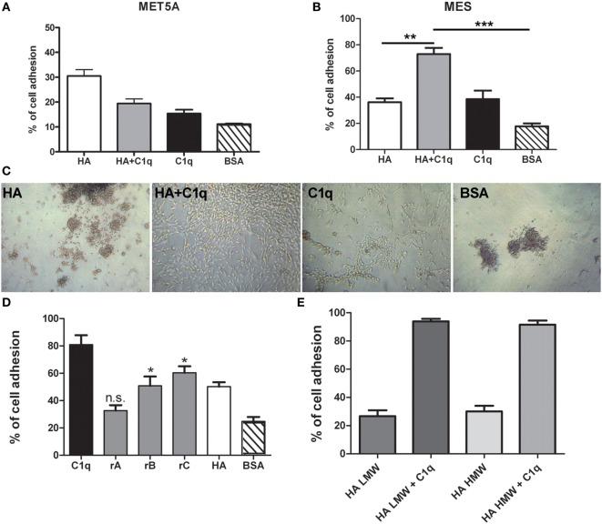 https://cdn.ncbi.nlm.nih.gov/pmc/blobs/3ab7/5701913/c75ce7af933e/fimmu-08-01559-g006.jpg