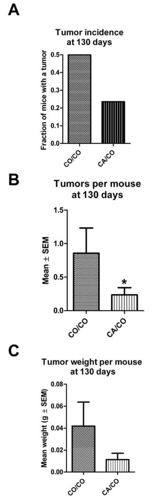 https://cdn.ncbi.nlm.nih.gov/pmc/blobs/3aba/2846884/f105eacabf86/1471-2407-10-81-2.jpg