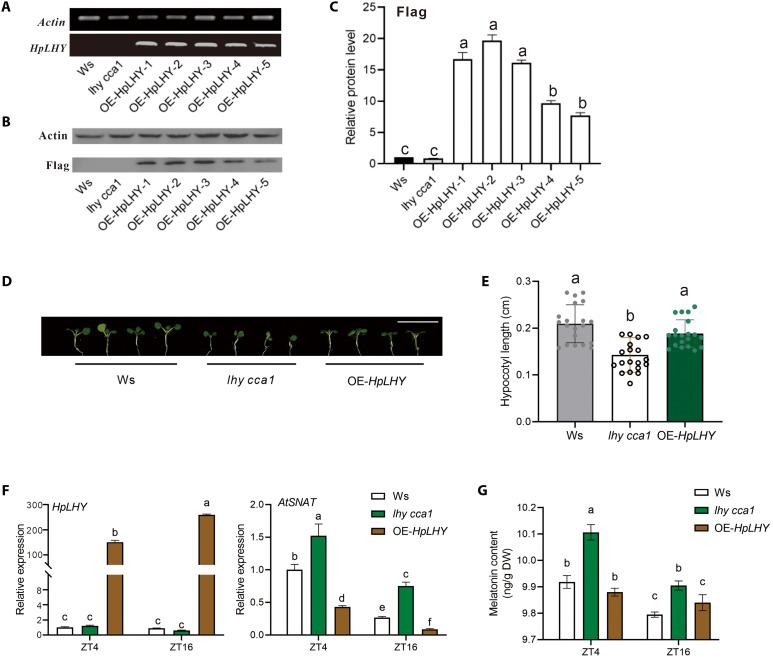 https://cdn.ncbi.nlm.nih.gov/pmc/blobs/3abb/11409971/f84ba6ea2793/sciadv.adq6505-f4.jpg