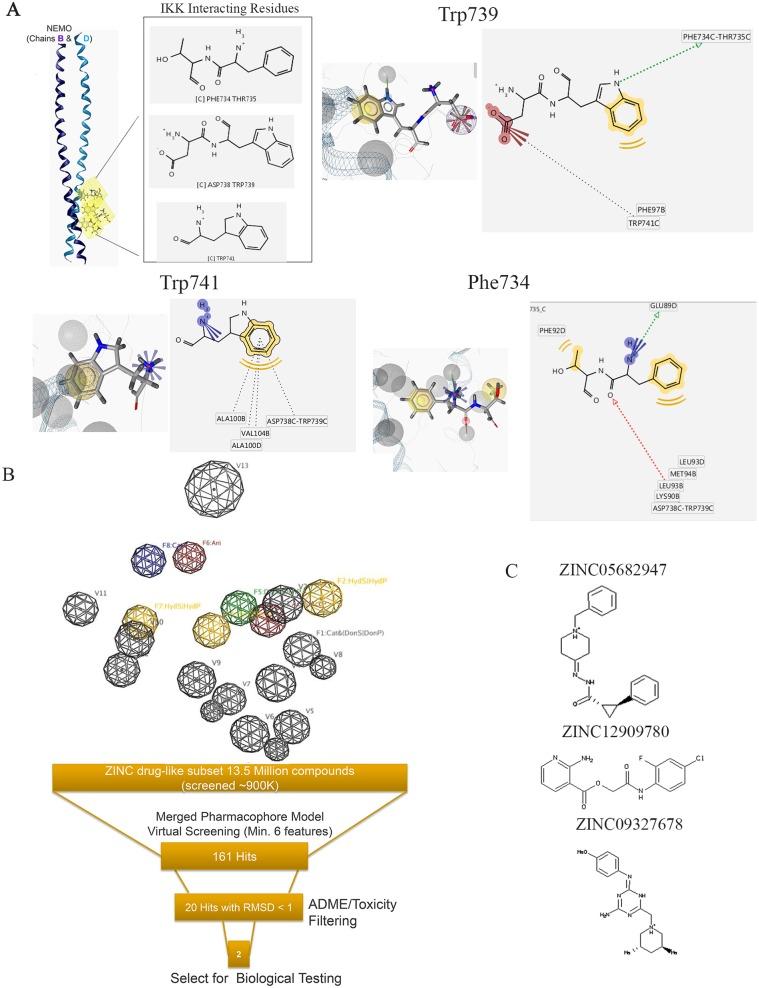 https://cdn.ncbi.nlm.nih.gov/pmc/blobs/3abb/6013238/1055b3369173/pbio.2004663.g001.jpg