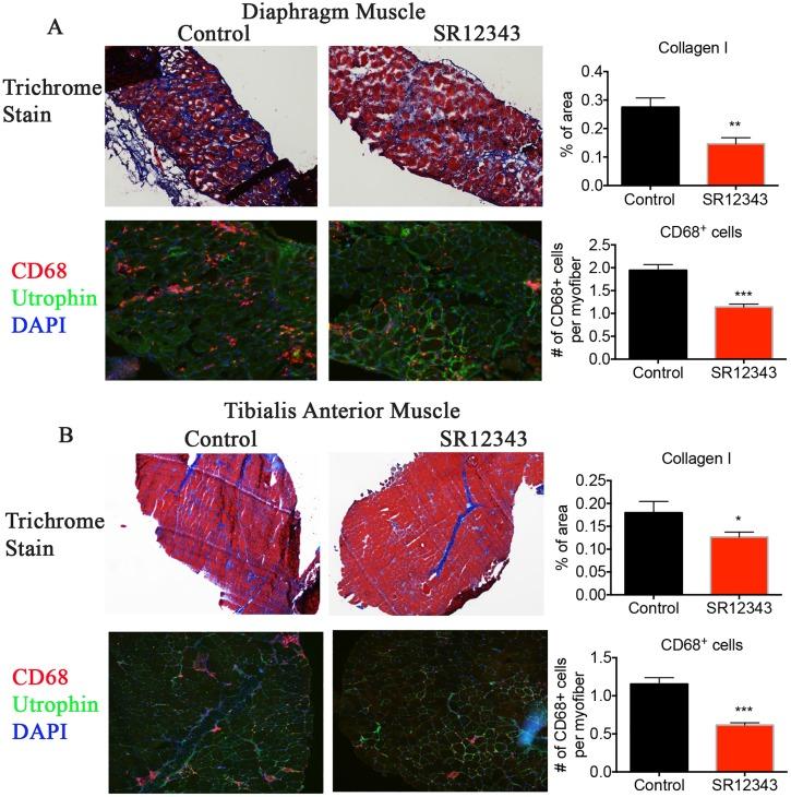 https://cdn.ncbi.nlm.nih.gov/pmc/blobs/3abb/6013238/9f8eb5f452f2/pbio.2004663.g008.jpg