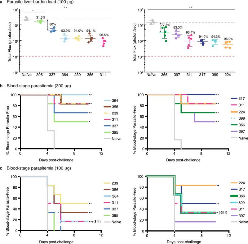https://cdn.ncbi.nlm.nih.gov/pmc/blobs/3abb/7887213/e629e6b6c680/41467_2021_21221_Fig1_HTML.jpg