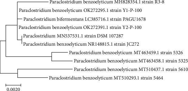 https://cdn.ncbi.nlm.nih.gov/pmc/blobs/3abb/9098347/3032aac0378a/OMCL2022-5994033.002.jpg