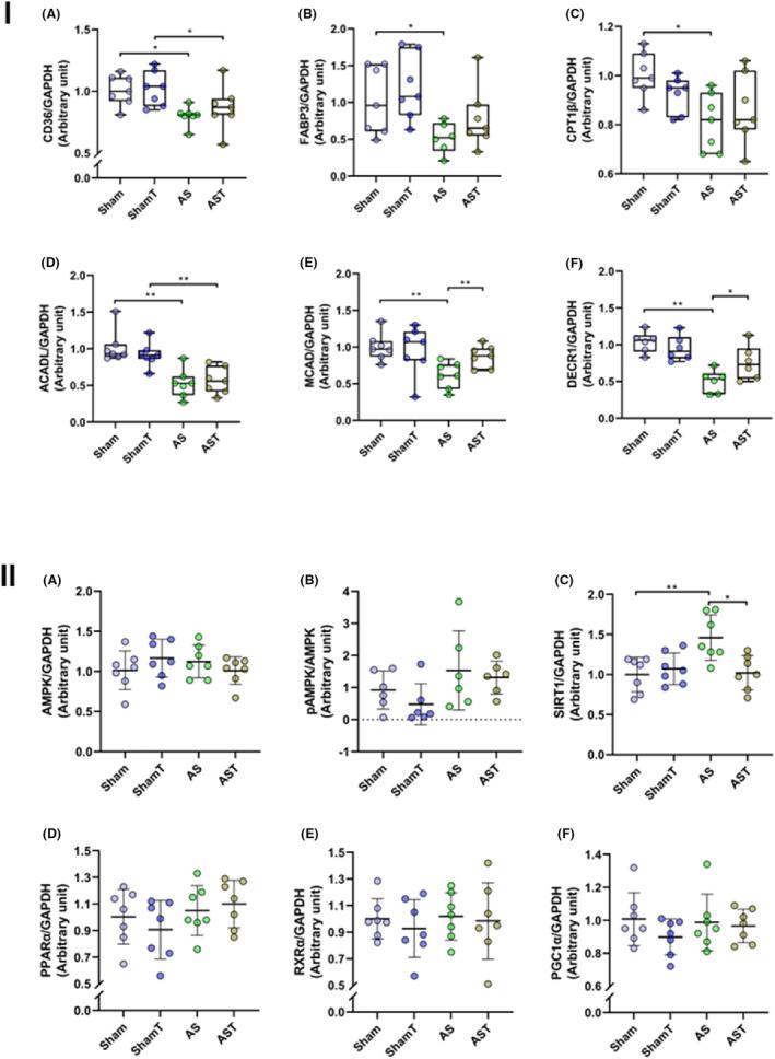 https://cdn.ncbi.nlm.nih.gov/pmc/blobs/3abc/10538274/0bbaa2c92a59/JCMM-27-2956-g001.jpg