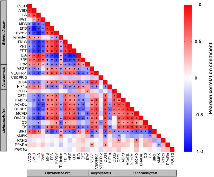 https://cdn.ncbi.nlm.nih.gov/pmc/blobs/3abc/10538274/0e1b49a189f8/JCMM-27-2956-g005.jpg