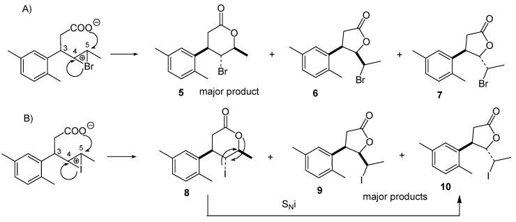 https://cdn.ncbi.nlm.nih.gov/pmc/blobs/3abc/6278266/c2542df80d02/molecules-23-03035-sch003.jpg