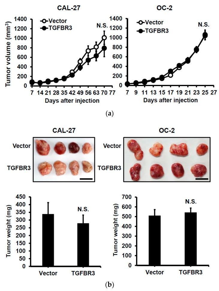 https://cdn.ncbi.nlm.nih.gov/pmc/blobs/3abd/7352722/34cd9bb0a972/cancers-12-01375-g003a.jpg