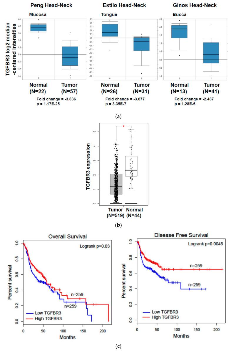https://cdn.ncbi.nlm.nih.gov/pmc/blobs/3abd/7352722/ac93fcb41a8f/cancers-12-01375-g001a.jpg