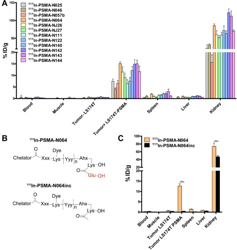 https://cdn.ncbi.nlm.nih.gov/pmc/blobs/3abe/7778589/18e54993627b/thnov11p1527g004.jpg
