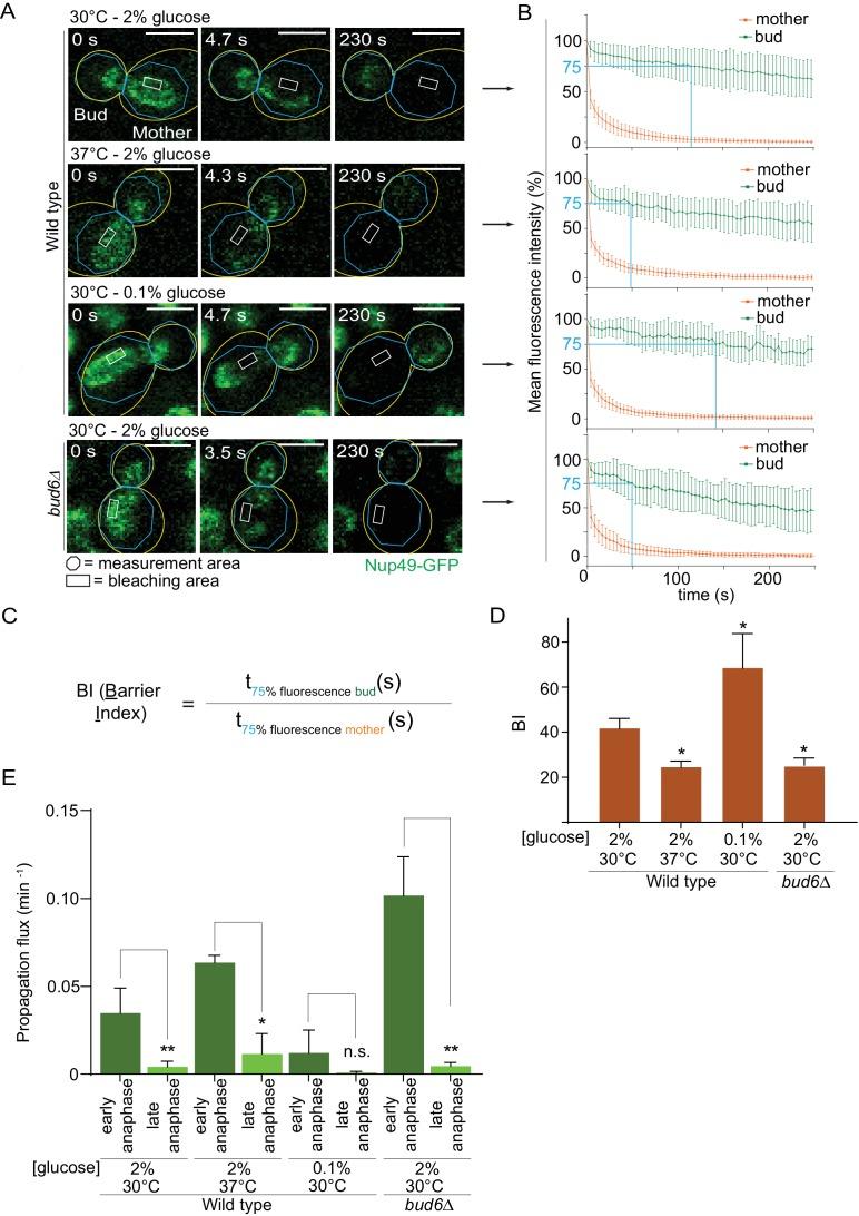 https://cdn.ncbi.nlm.nih.gov/pmc/blobs/3abf/5771669/b5cfdd150d45/elife-28329-fig4.jpg