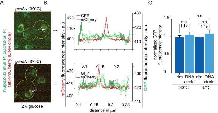 https://cdn.ncbi.nlm.nih.gov/pmc/blobs/3abf/5771669/ee946b8c36e2/elife-28329-fig3-figsupp1.jpg