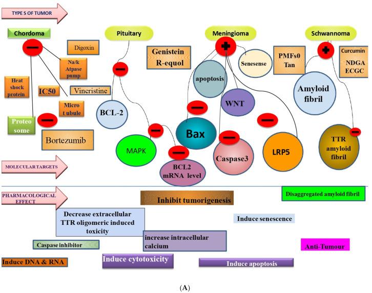 https://cdn.ncbi.nlm.nih.gov/pmc/blobs/3ac0/9182026/97de19601411/molecules-27-03561-g002a.jpg