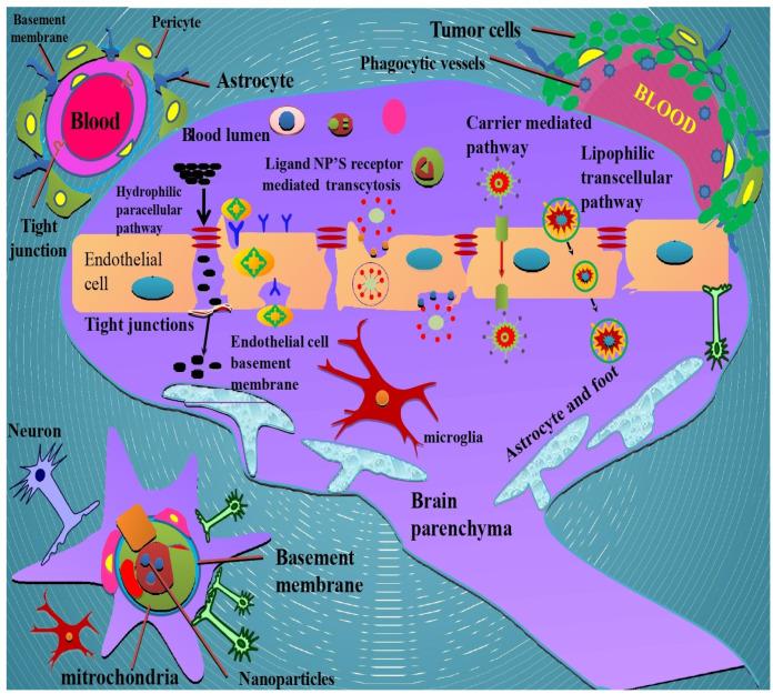 https://cdn.ncbi.nlm.nih.gov/pmc/blobs/3ac0/9182026/d992c297da85/molecules-27-03561-g003.jpg