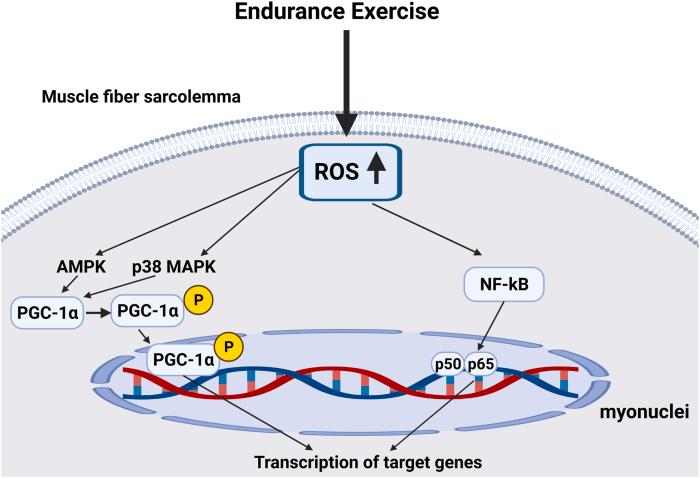 https://cdn.ncbi.nlm.nih.gov/pmc/blobs/3ac3/9233275/a17708ee8013/gr6.jpg