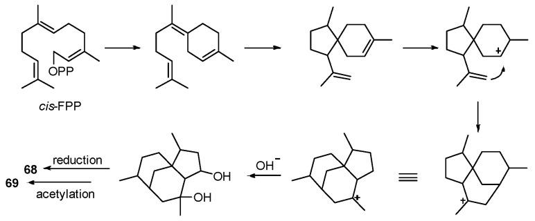 https://cdn.ncbi.nlm.nih.gov/pmc/blobs/3ac3/9410182/1b5414f166e0/marinedrugs-20-00535-sch010.jpg