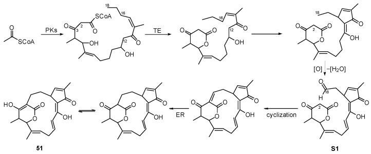 https://cdn.ncbi.nlm.nih.gov/pmc/blobs/3ac3/9410182/615517147724/marinedrugs-20-00535-sch007.jpg