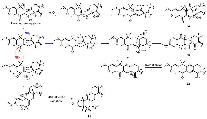 https://cdn.ncbi.nlm.nih.gov/pmc/blobs/3ac3/9410182/81180af6c66e/marinedrugs-20-00535-sch002.jpg
