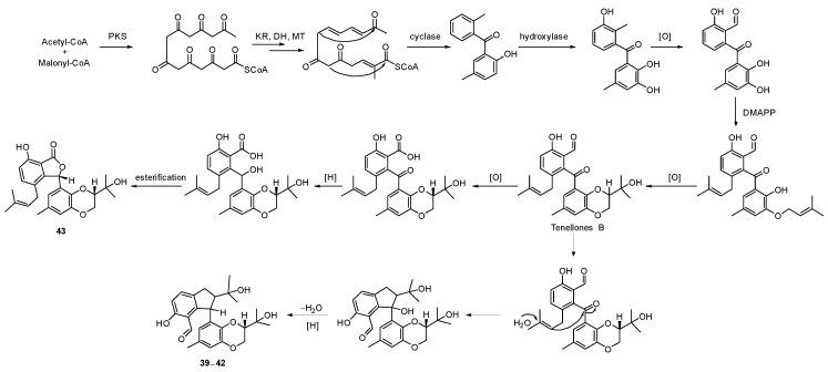 https://cdn.ncbi.nlm.nih.gov/pmc/blobs/3ac3/9410182/a1881dc6bdfe/marinedrugs-20-00535-sch005.jpg
