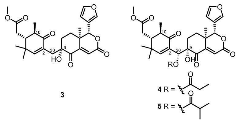 https://cdn.ncbi.nlm.nih.gov/pmc/blobs/3ac3/9410182/a4bbf6e865ca/marinedrugs-20-00535-g002.jpg