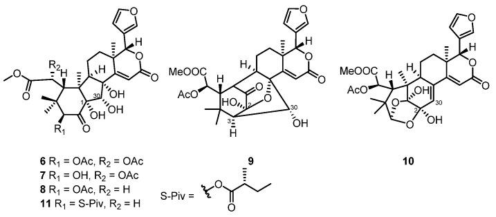 https://cdn.ncbi.nlm.nih.gov/pmc/blobs/3ac3/9410182/a8624cc3c2e8/marinedrugs-20-00535-g003.jpg