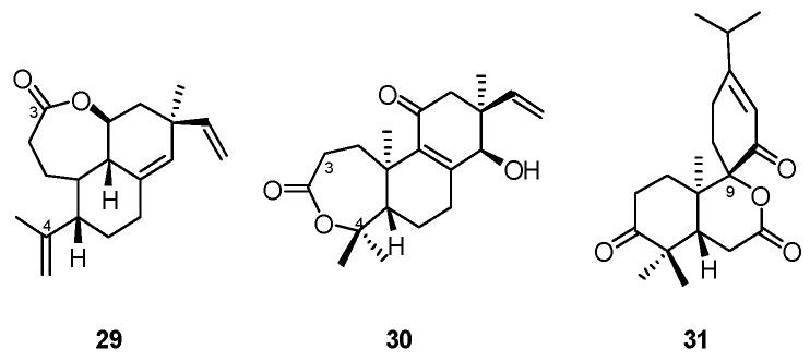 https://cdn.ncbi.nlm.nih.gov/pmc/blobs/3ac3/9410182/dab3d1c273f5/marinedrugs-20-00535-g009.jpg