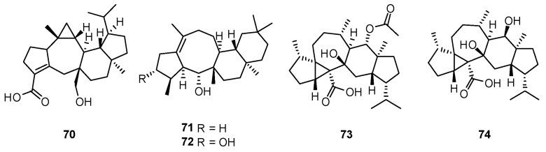 https://cdn.ncbi.nlm.nih.gov/pmc/blobs/3ac3/9410182/e2c87d473eb0/marinedrugs-20-00535-g019.jpg