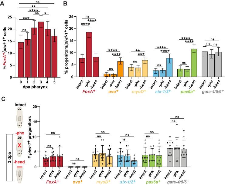 https://cdn.ncbi.nlm.nih.gov/pmc/blobs/3ac4/8219383/023de54eda34/elife-68830-fig2-figsupp1.jpg