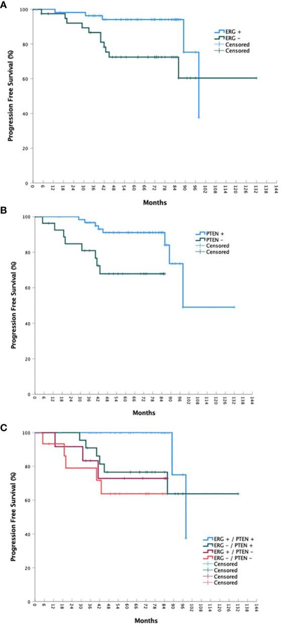 https://cdn.ncbi.nlm.nih.gov/pmc/blobs/3ac5/10995255/442ea924fc2e/fonc-14-1381134-g002.jpg