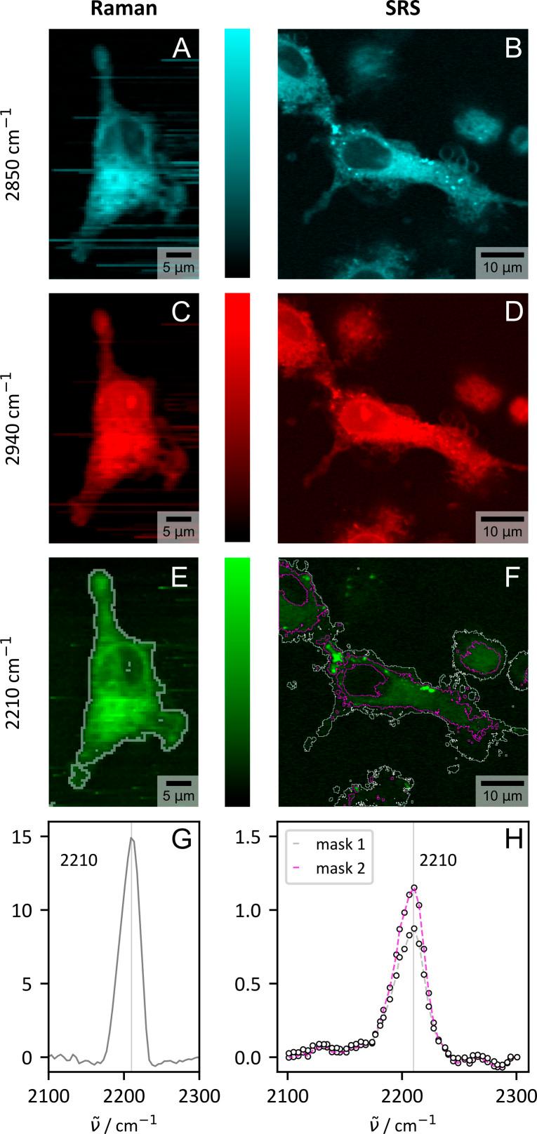 https://cdn.ncbi.nlm.nih.gov/pmc/blobs/3ac5/11389463/cbe1f9ffad62/d4sc03155e-f5.jpg