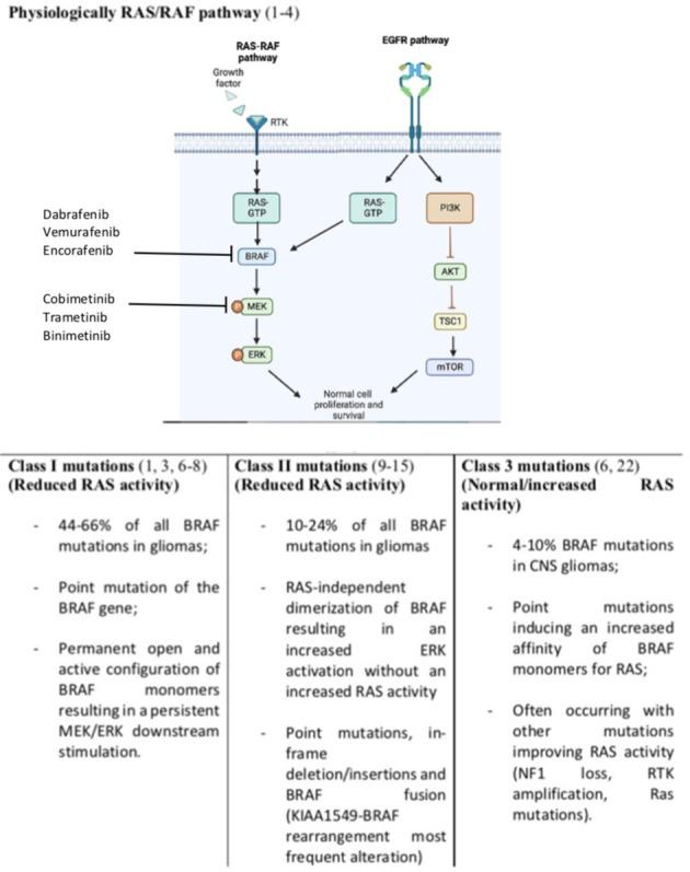 https://cdn.ncbi.nlm.nih.gov/pmc/blobs/3ac6/9846085/d7581ea90910/fonc-12-1067252-g001.jpg
