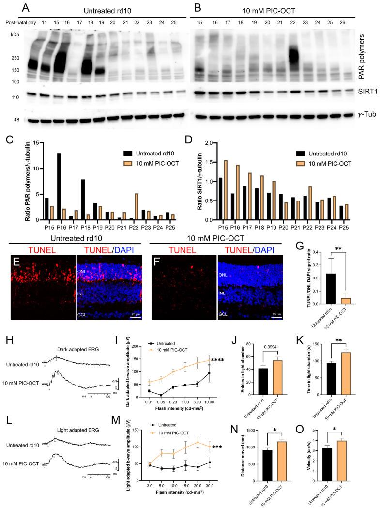 https://cdn.ncbi.nlm.nih.gov/pmc/blobs/3ac8/10886367/9a3722d7e21f/antioxidants-13-00201-g008.jpg