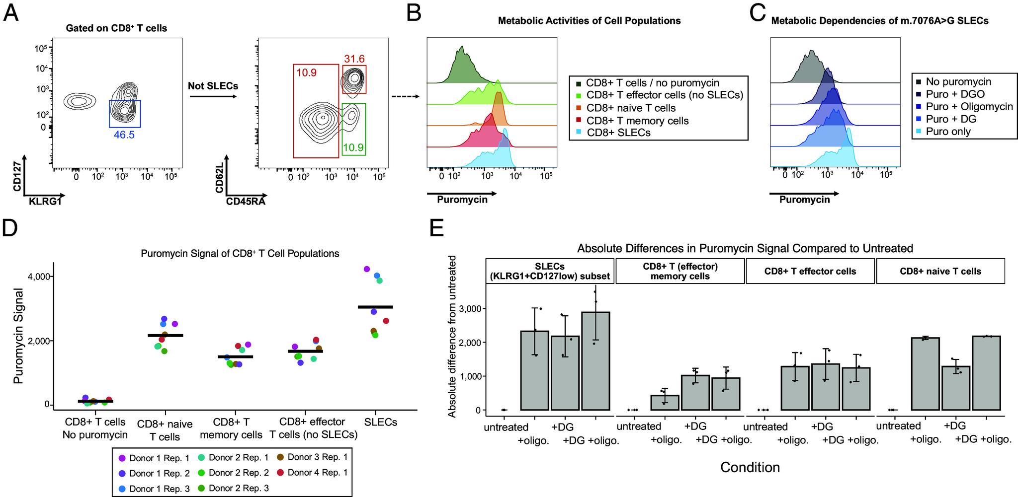 https://cdn.ncbi.nlm.nih.gov/pmc/blobs/3ac8/12318227/30021760c198/pnas.2505704122fig04.jpg