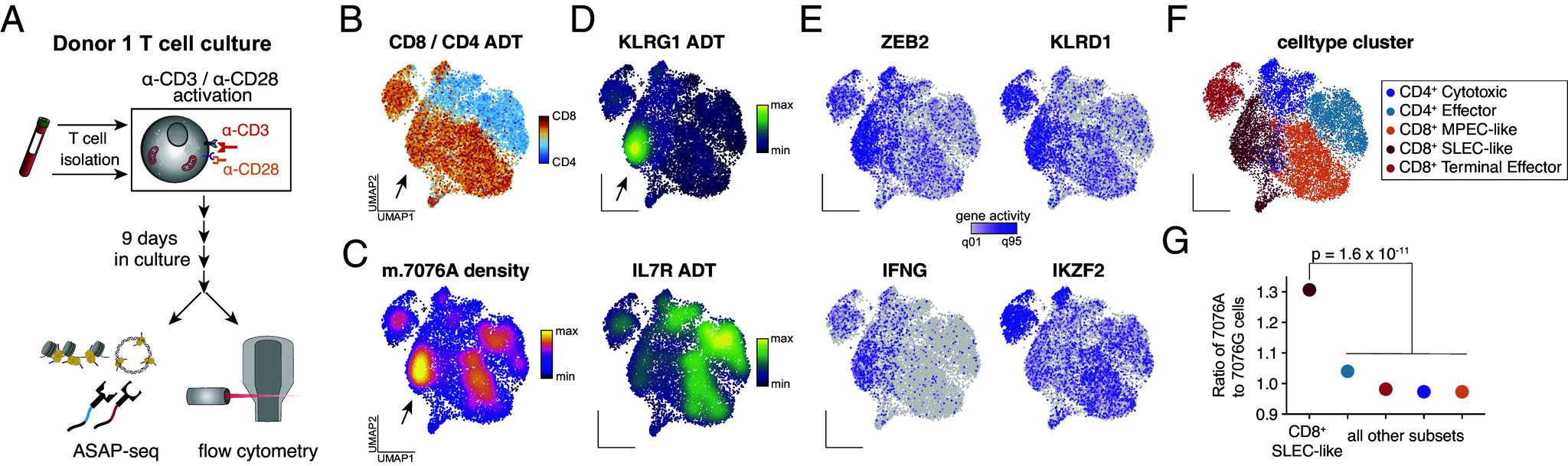 https://cdn.ncbi.nlm.nih.gov/pmc/blobs/3ac8/12318227/49f3cabc1817/pnas.2505704122fig03.jpg